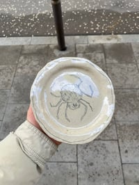 Image 1 of plato araña