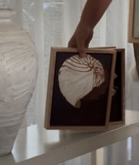 Image 8 of Island Shell Original