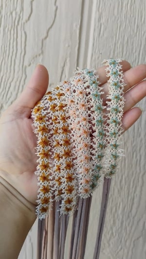 Image of Daisies embroidered Tieback copy