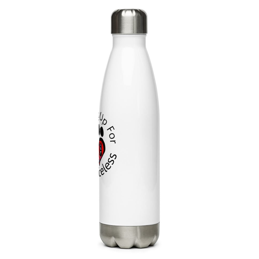 Image of Stainless Steel Water Bottle - Color