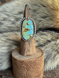 Image 1 of The Roaming Ridge