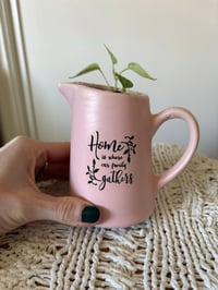 Image 3 of Vining Peperomia in Pink Creamer