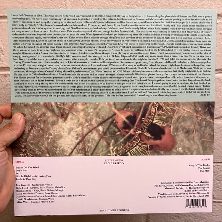 Image of Little Wings “Be Gulls Begin”