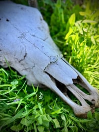 Image 2 of White Buffalo Cuff 🖤🤍