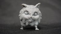 Image 5 of Loth Kittens