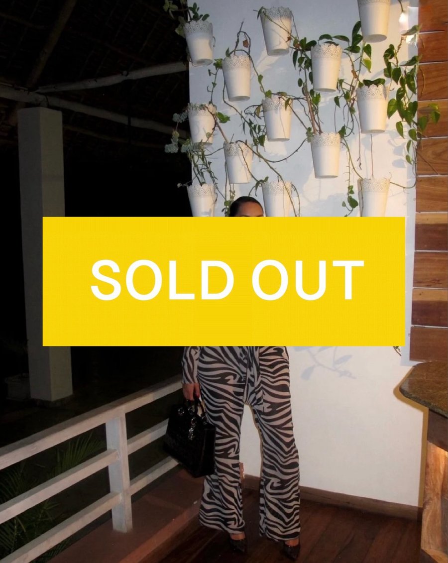 Image of ZEBRA SHEER 2-PIECE PANT SET (US SIZE 8)