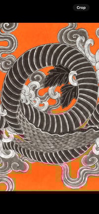 Image 3 of SNAKE ORANGE BACKGROUND 
