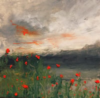 Field of poppies