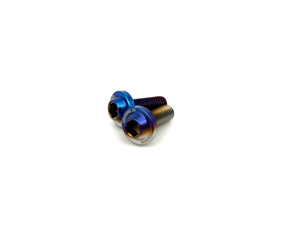 Titanium license plate bolts.
