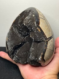Image 2 of Septarian Nodule Polished Freeform | Madagascar #2897