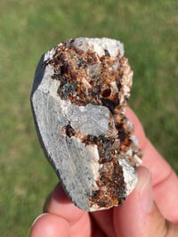 Image 8 of Garnet Cluster Specimen #1204