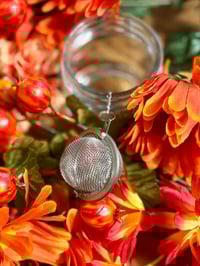 Image 1 of Tea Ball Infuser 