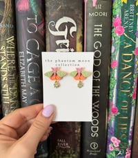 Image 1 of Sherbet Moth