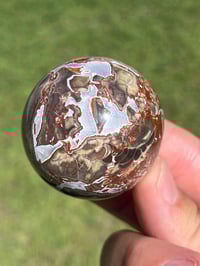 Image 4 of Money Agate Sphere #2918