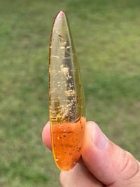 Image 12 of Copal Amber With Preserved Insects #2629