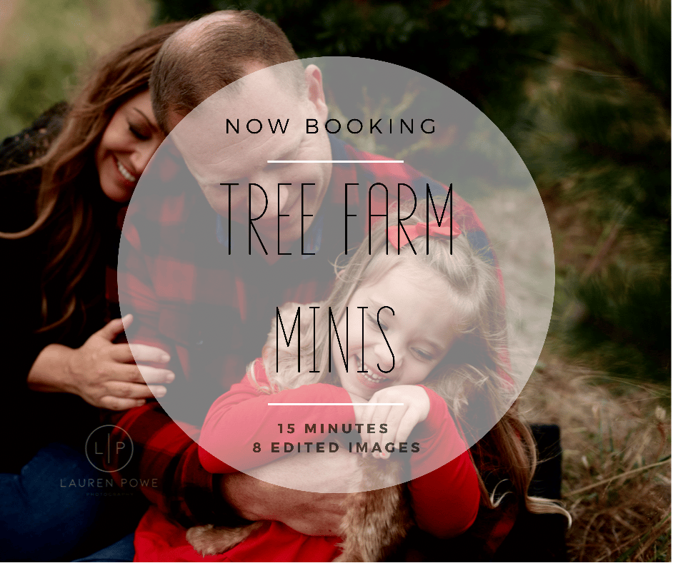 Image of Tree Farm Mini Sessions