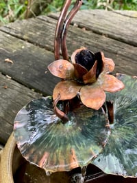 Image 5 of 🌸🪷☘️Flower and lily leaves 🪷