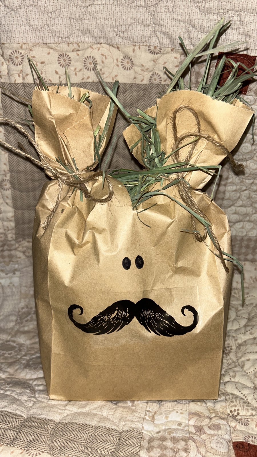 Image of Movember bunny enrichment forage bag