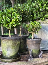 Image 4 of Rabbit Pot Feet - Set of 3