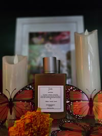 Image 1 of Siete ( NEW!)