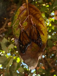 Image 3 of Butterfly Blessings