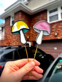Image 2 of Custom Color Mushroom