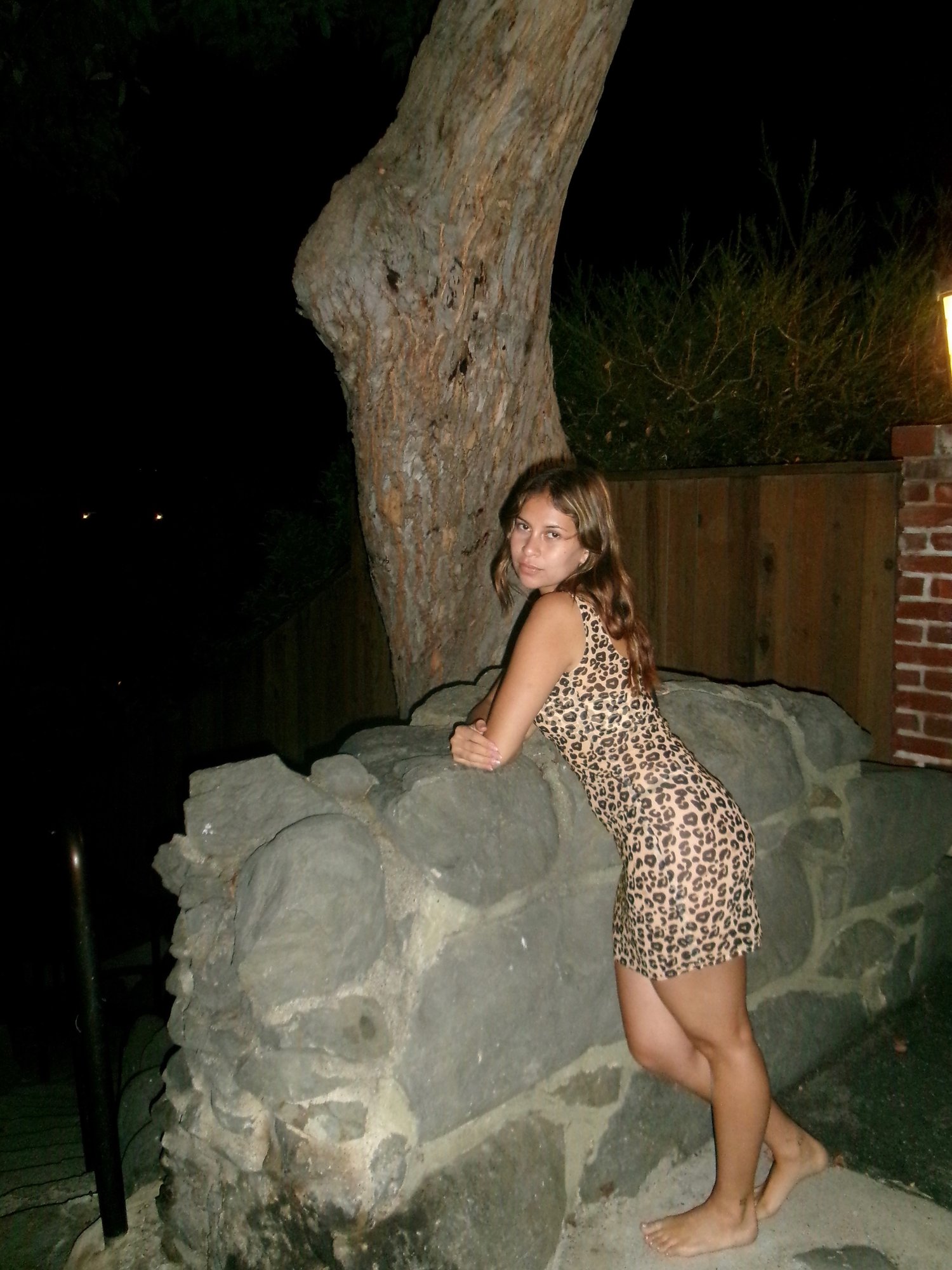 Image of AMUR MESH DRESS