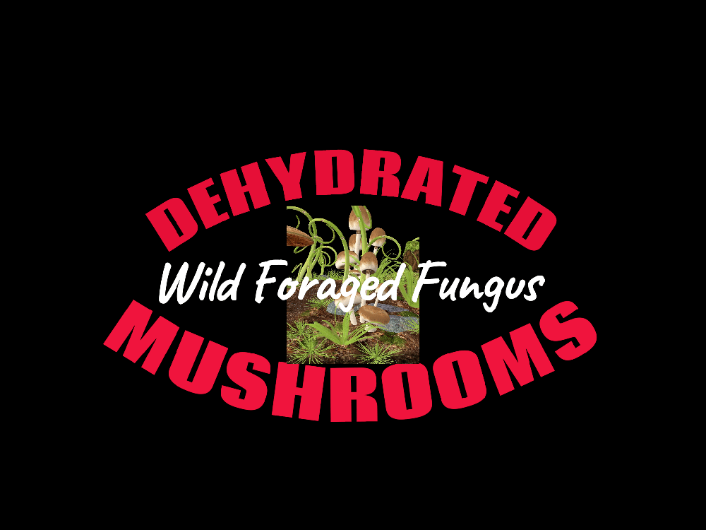 MUSHROOMS. FORAGED FUNGUS Exotic-Wild-Seasonal. Lions' Mane-Lobster-Maitake & More