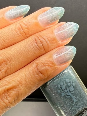 Image of Shadow of the Day