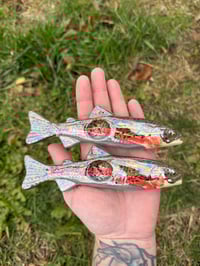 Image 3 of Rainbow Trout - Mother of Pearl