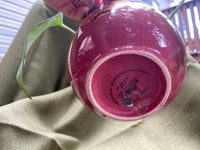 Image 4 of Golden Pothos in Naruto Red Ramen Bowl