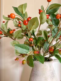 Image 2 of The Rosehips Bouquet ( 6 sprays )