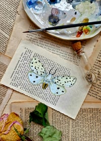 Image 3 of Life in Old Pages Insect n. 58 Tiger Moth