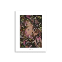 Image 3 of Passion Fruit Flower II