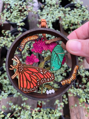 Image of Layered Wood Ornament - Monarch Life Cycle