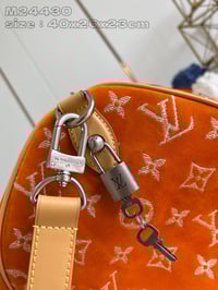 Image 12 of LV Pharrell Velvety Speedy