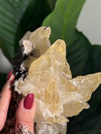 Image 9 of XXL SWEETWATER CALCITE WITH PYRITE -MISSOURI- PORCUPINE POCKET 2025 C