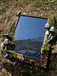 Image 3 of Inky cap mirror LED