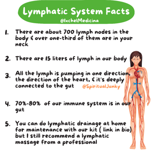 Image of LYMPHATIC DRAINAGE  KIT