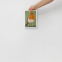 Image 3 of Robin Poster