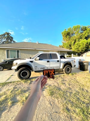 Image of This Raptor Fux 