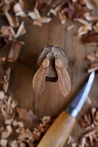Image 1 of Maple/Sycamore Seed- Earrings 