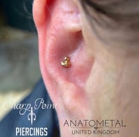 Image 2 of Anatometal Gold ends. 