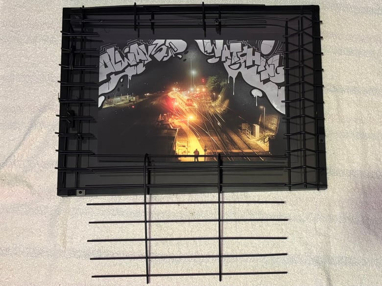 Image of Always Watching