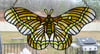 Green Moth - Tiffany Lamp Screen Inspired