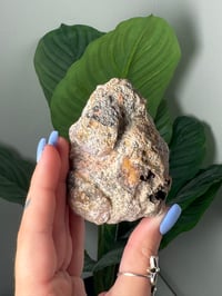 Image 2 of YELLOW LAGUNA AGATE WITH DRUZY CENTER