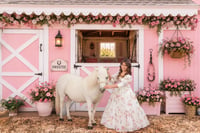 Pink Pony barn with real pony  6/14/26