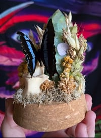 Image 5 of Swallowtail & Flourite Crystal Tower Clochè