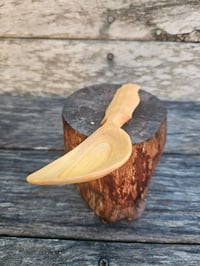 Image 3 of Xanthostamon pocket spoon 