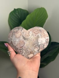 Image 1 of XL HQ FLOWER AGATE HEART -MADAGASCAR-
